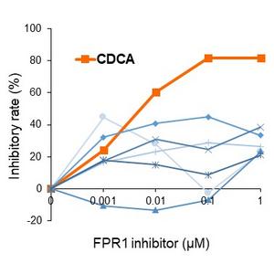 Figure 1: Validation of FPR1 inhibitor candidates using SJS/TEN model cell