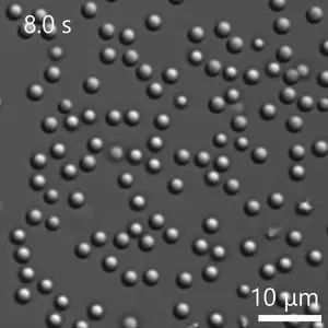 Morphogenic colloids video