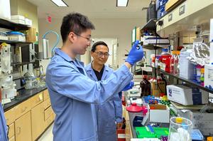 CABBI's Huimin Zhao and Zhengyi Zhang