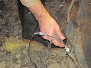 Gas bubbles emerging from groundwater and measurement probe