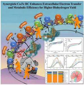 Engineering the microbial-electrochemical interface: synergistic of co-fe nano biochar composites for enhanced electron channelling to alter the metabolic pathway in light-driven biohydrogen production