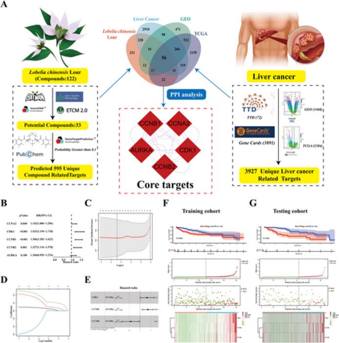 LCL-liver cancer core targets identification.