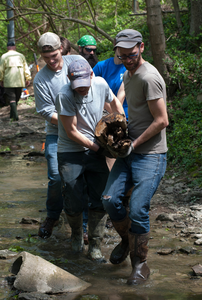 Cooper Creek