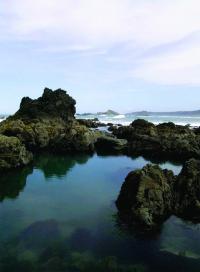Cape Blanco Tidepool