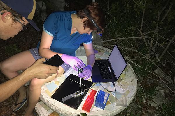 Who's in this Ocean? Tracking Down Species on the Go Using Environmental DNA