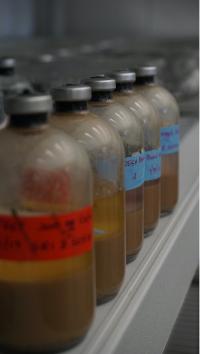 Microcosm samples