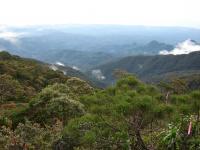 Mt. Mantalingahan