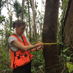 Saara DeWalt tree measuring