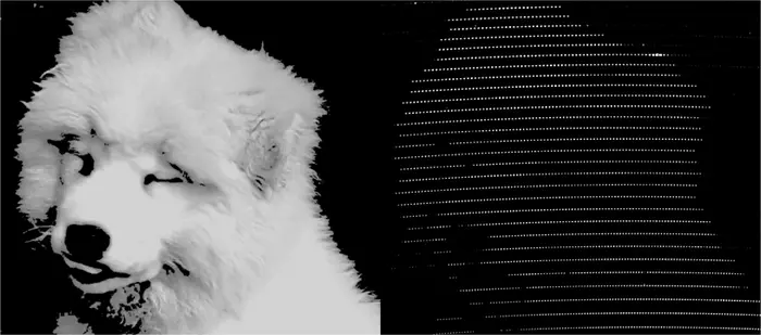 Programmed target shape