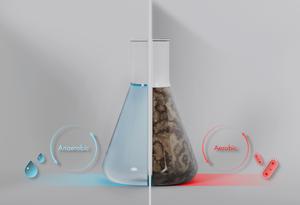 Wastewater treatment to fight the spread of antibiotic resistance