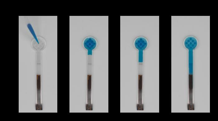 Candy-coated Lollylab checks saliva for medication