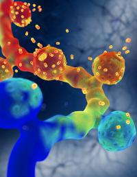 New Insights into the Regulation of Synaptic Plasticity