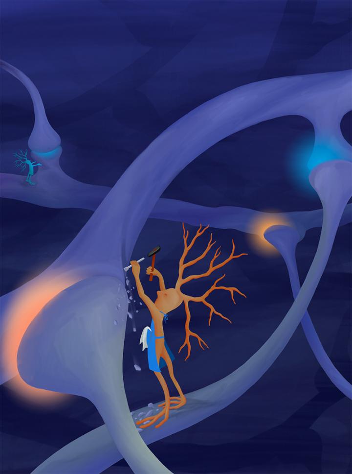 Sculpting the brain synapse-by-synapse