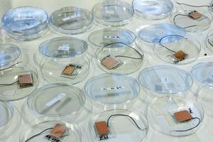 Many sensor prototypes