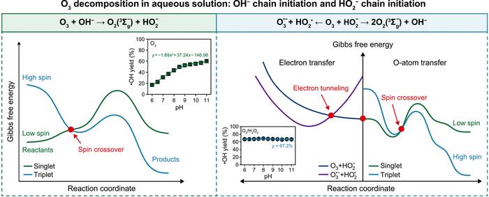 Dual pathways drive ozone decomposition in water.