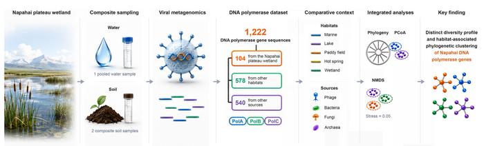 Revealing the genetic diversity of DNA polymerase genes in the Napahai plateau wetland