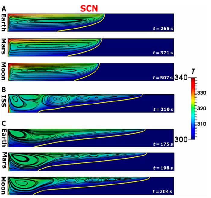 Fig. 5. Thermal field together with streamlines for SCN at t50%, and under all g-levels considered (aspect ratio [AR] = 10): (A) pure natural convection, (B) pure thermocapillary effect, and (C) mixed natural and thermocapillary convections.