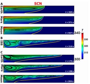 Fig. 5. Thermal field together with streamlines for SCN at t50%, and under all g-levels considered (aspect ratio [AR] = 10): (A) pure natural convection, (B) pure thermocapillary effect, and (C) mixed natural and thermocapillary convections.