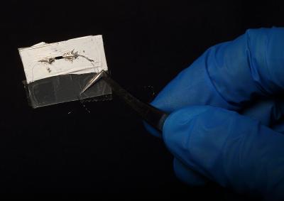 Carbon Nanotubes