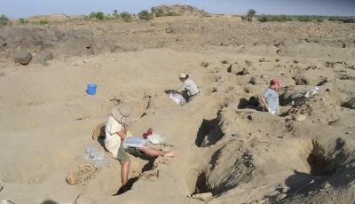 Excavating the Bones