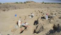 Excavating the Bones