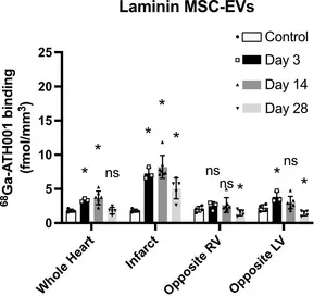 Mice treated with exosomes (MSC-EV), Figure 3E