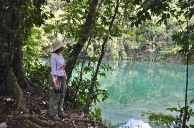 Lisa J. Lucero, University of Illinois at Urbana-Champaign