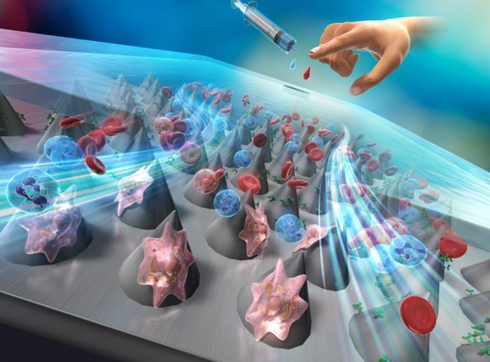 Microchannel device to detect cancer cells in blood