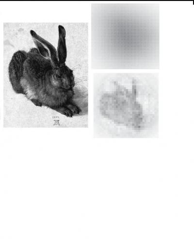 Snake IR View of a Rabbit