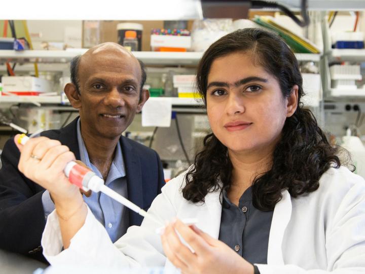 Chandra Mohan and Sanam Soomro, University of Houston