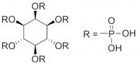 InsP6