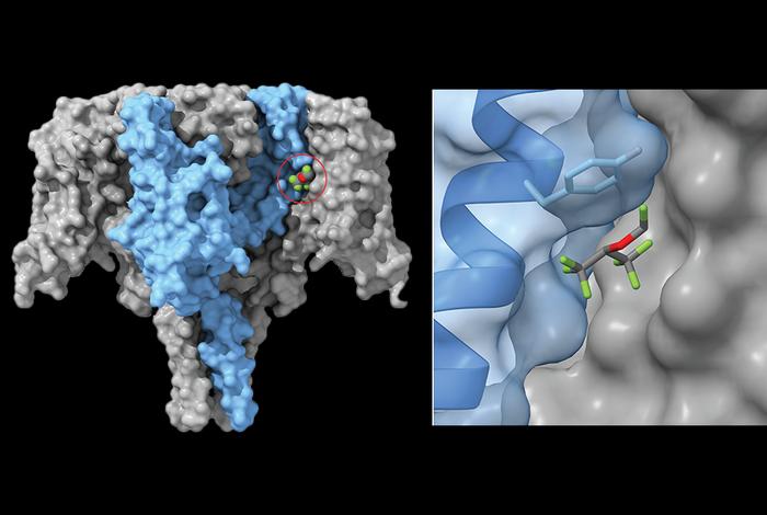 Demystifying the Molecular Mechanisms of General Anesthesia