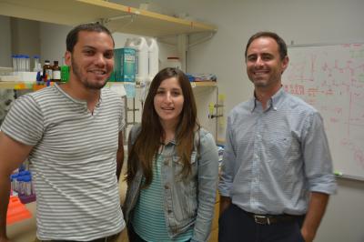 Researchers 