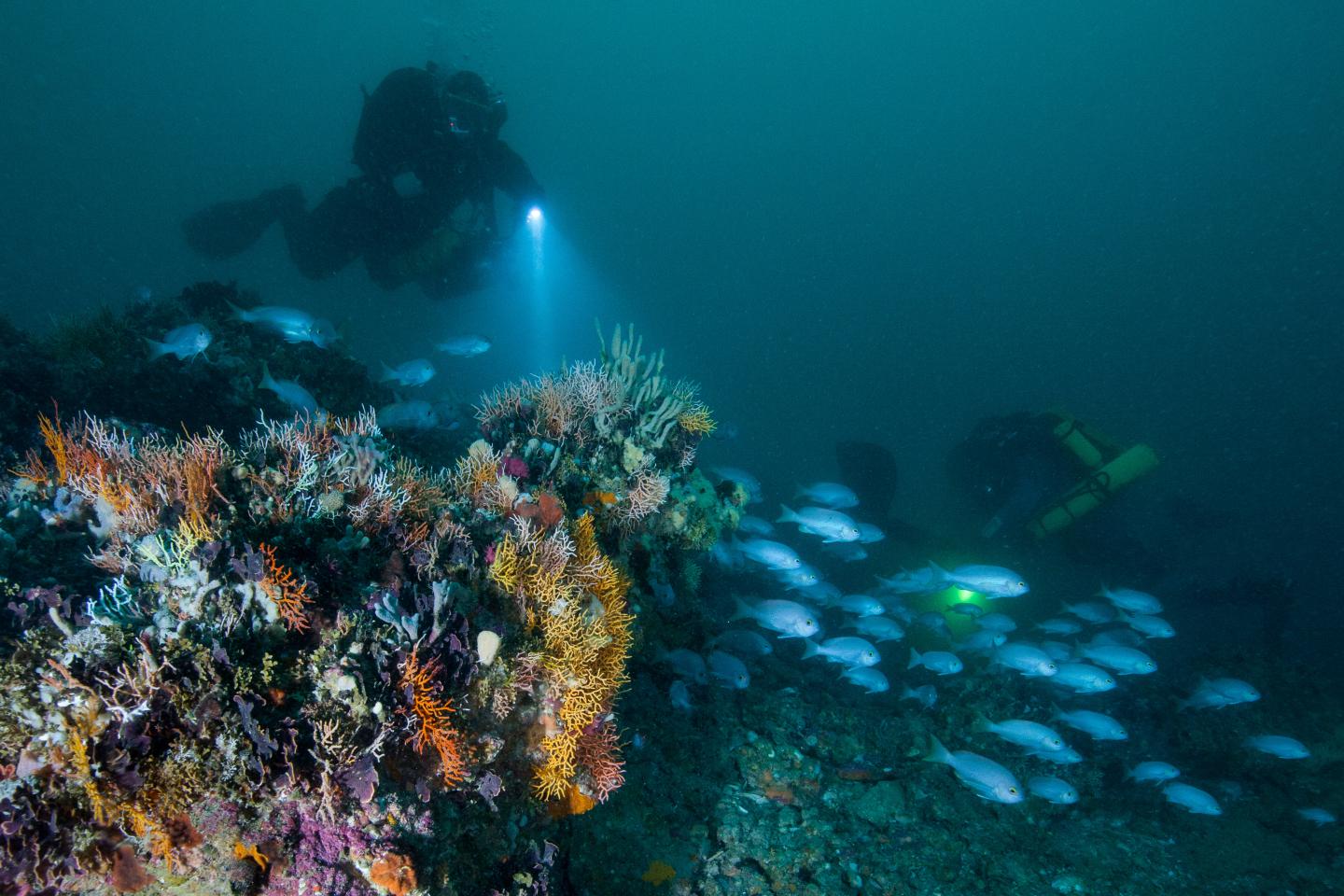 Drowned Apostles (Underwater)