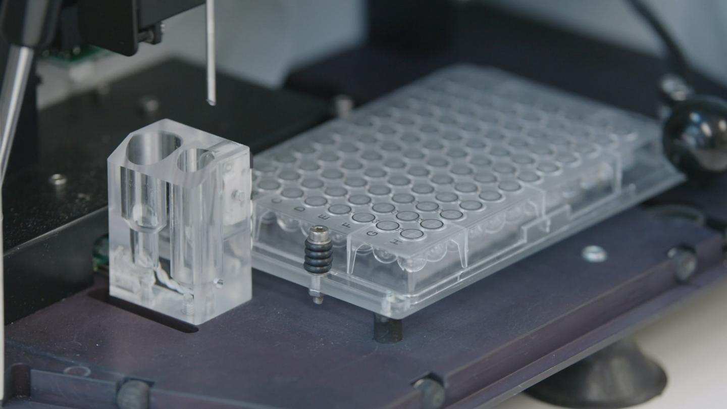 ClarityDX Prostate Test Plate