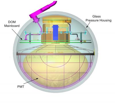 DOM Schematic