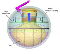 DOM Schematic