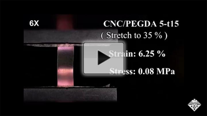 A flexible color-changing film inspired by chameleon skin (video)