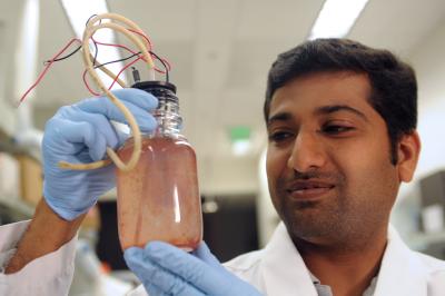 Dr. Prathap Parameswaran, Arizona State University (2 of 2)