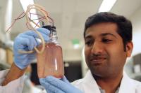Dr. Prathap Parameswaran, Arizona State University (2 of 2)
