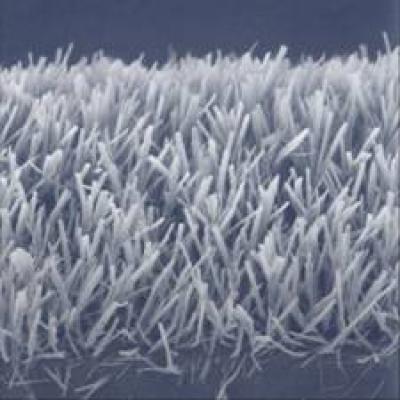 Peptide Forest