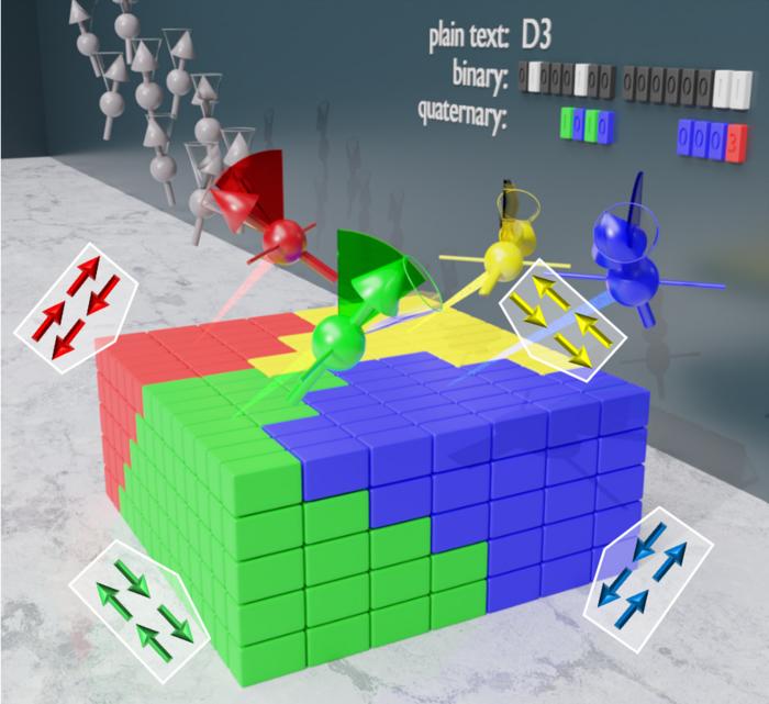 Detecting four magnetic states with neutrons