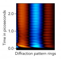 Hundreds of Lines Form a Molecular Movie