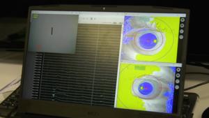 Researchers established a 'closed-loop' artificial vision system that achieves a bidirectional dialogue with the visual cortex