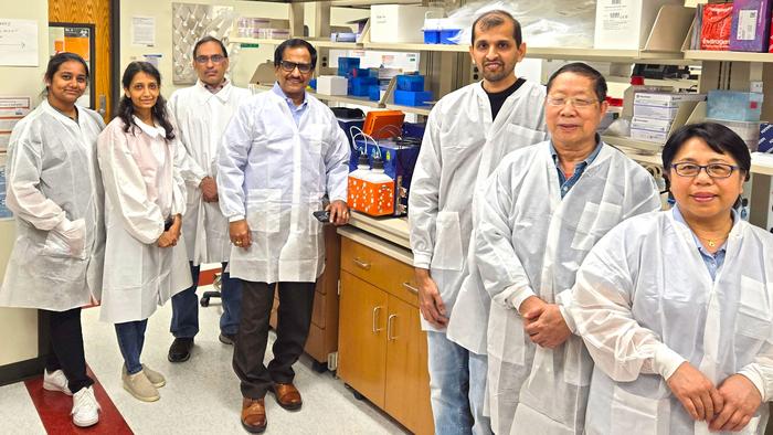 Scientists reverse brain aging, with a nasal spray