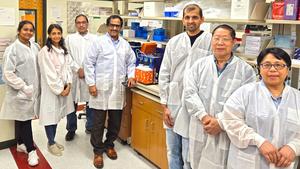 Scientists reverse brain aging, with a nasal spray