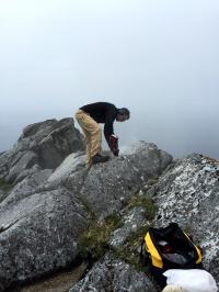 Collecting Samples