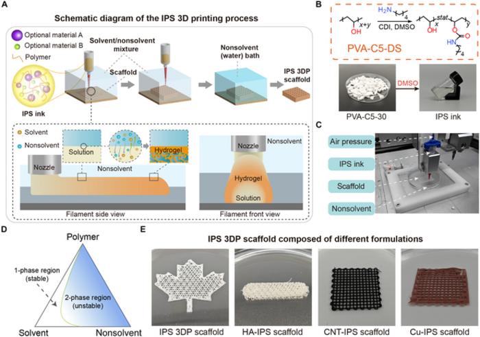 Immersion phase separation 3-dimensional printing (IPS 3DP) for structurally complex biomimetic devices