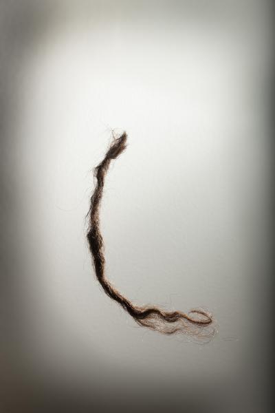 Aboriginal Australian Genome Sequenced (8 of 9)
