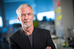 Stefan Pulst, Dr Med